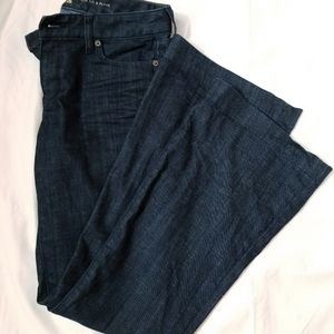 Fit and Flare Bell Bottom Express Jeans